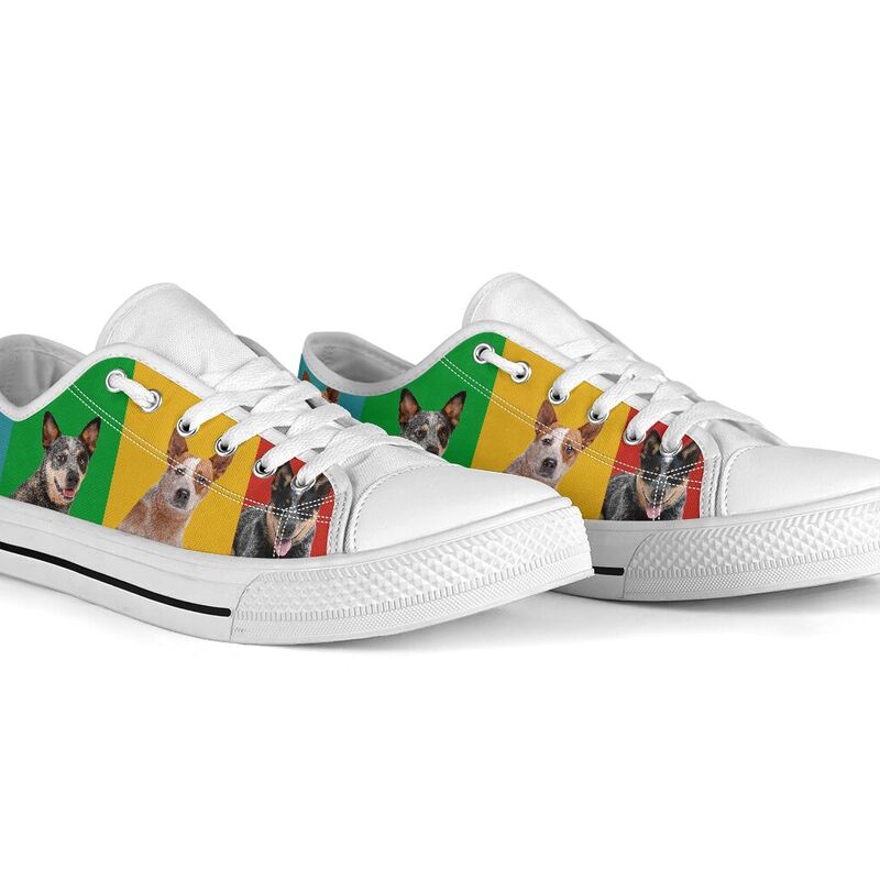 heeler-4color-shoesnp-dt-heeler-4color-low-top-_5_20200428_154707 heeler 4color@ shoesnp dt heeler 4color@low-top" 196059