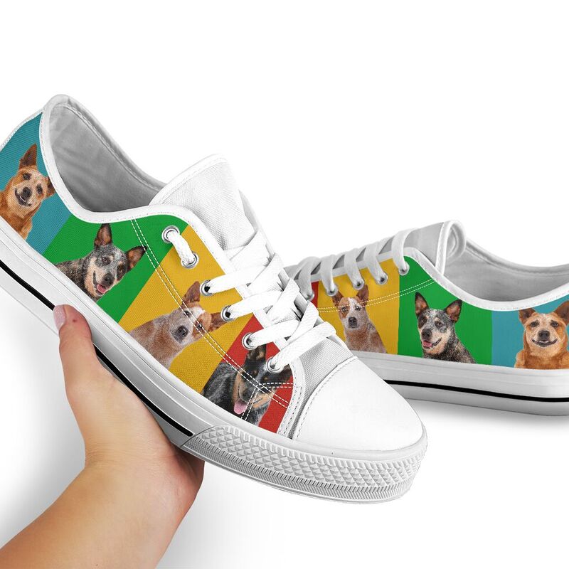 heeler-4color-shoesnp-dt-heeler-4color-low-top-_3_20200428_154701 heeler 4color@ shoesnp dt heeler 4color@low-top" 196057