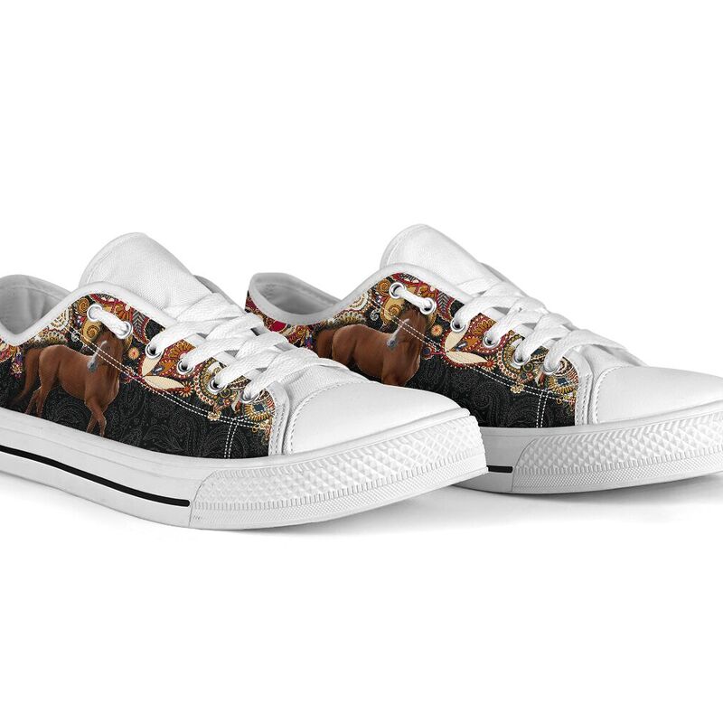 horse-paisley-color-low-top-LQT_5_20200621_115336_jeiutylwp horse paisley color low top LQT 370136