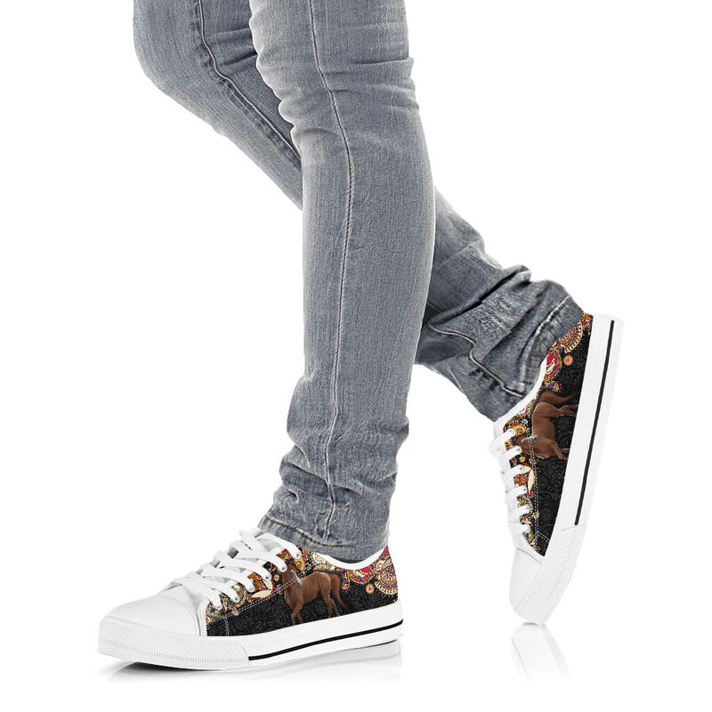 horse-paisley-color-low-top-LQT_4_20200621_115333_coezrtmhp horse paisley color low top LQT 370135
