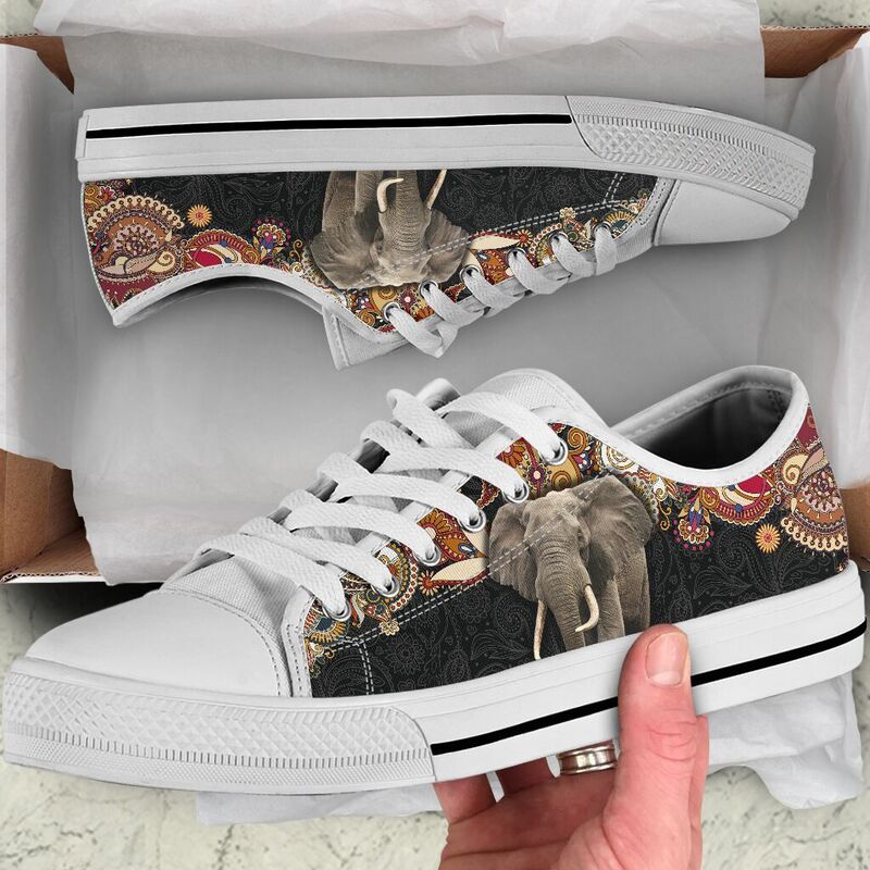 elephant-paisley-color-low-top-LQT_7_20200621_074242_vsqaextgd elephant paisley color low top LQT 364648