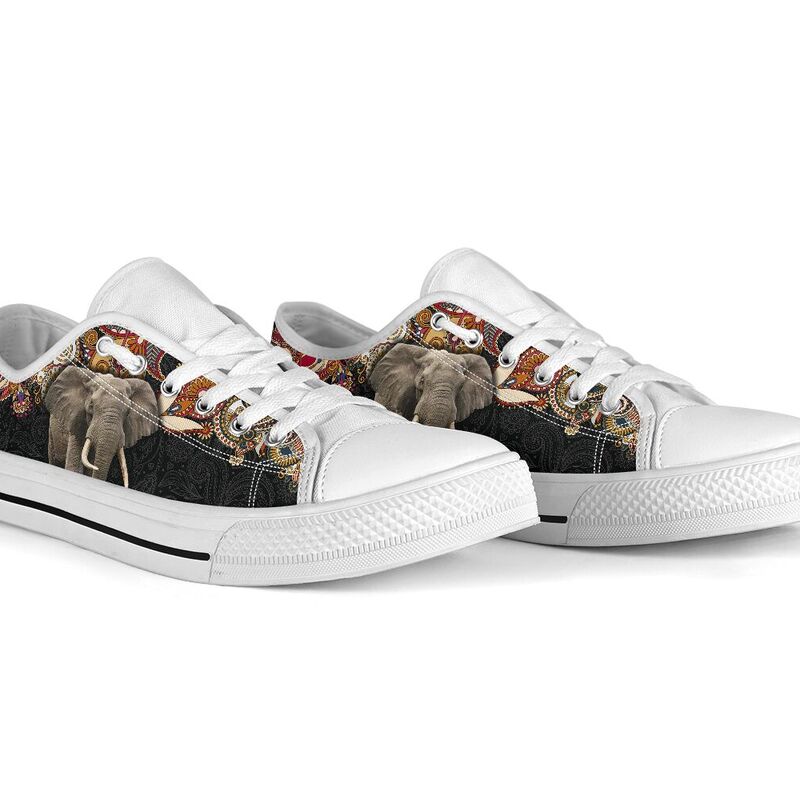 elephant-paisley-color-low-top-LQT_5_20200621_074227_qreimykzp elephant paisley color low top LQT 364646