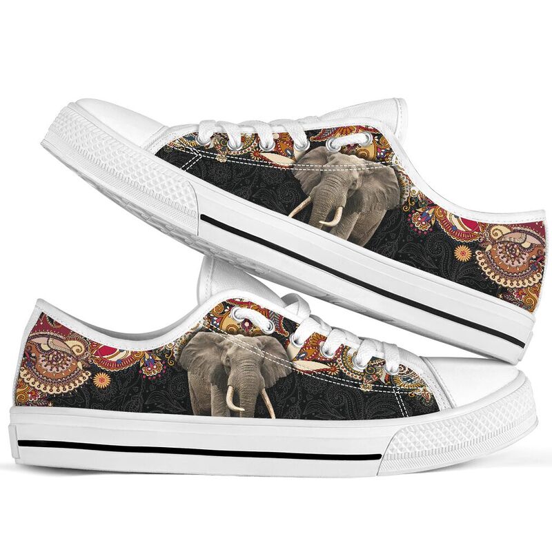elephant-paisley-color-low-top-LQT_2_20200621_074216_rosdvzqhx elephant paisley color low top LQT 364643